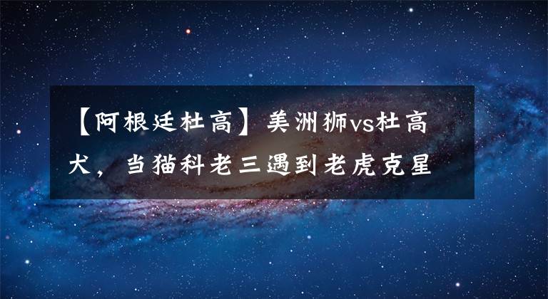 【阿根廷杜高】美洲狮vs杜高犬，当猫科老三遇到老虎克星，谁会笑到最后？