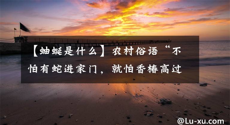 【蚰蜒是什么】农村俗语“不怕有蛇进家门，就怕香椿高过房”，啥意思？