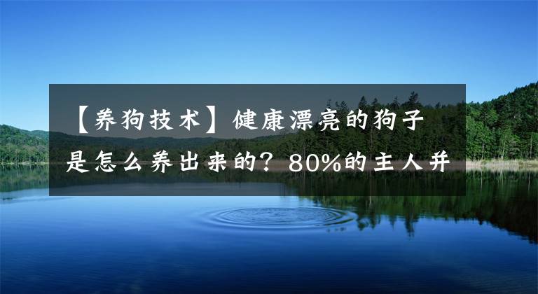 【养狗技术】健康漂亮的狗子是怎么养出来的？80%的主人并不知道