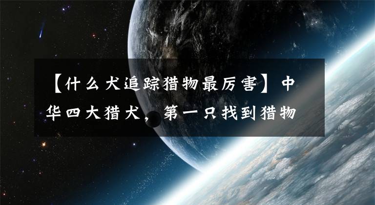 【什么犬追踪猎物最厉害】中华四大猎犬，第一只找到猎物就叫，遇到最后就等于捡到了宝物文章配图