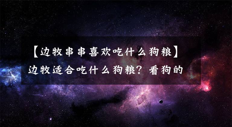 【边牧串串喜欢吃什么狗粮】边牧适合吃什么狗粮？看狗的身体状况，选择喜欢的狗粮。文章配图