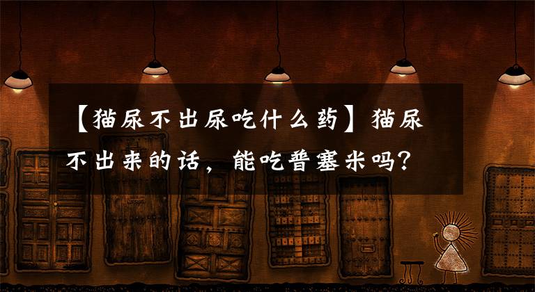 【猫尿不出尿吃什么药】猫尿不出来的话，能吃普塞米吗？文章配图