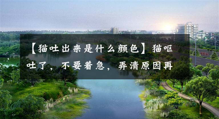 【猫吐出来是什么颜色】猫呕吐了，不要着急，弄清原因再说，不一定要去医院文章配图