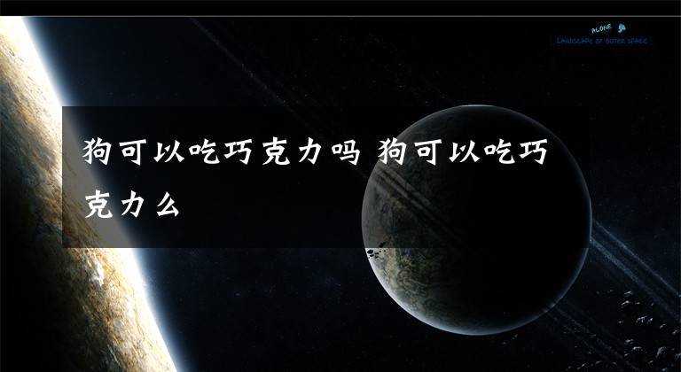 狗可以吃巧克力吗 狗可以吃巧克力么文章配图