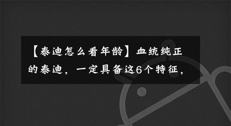 【泰迪怎么看年龄】血统纯正的泰迪，一定具备这6个特征，很多铲屎官还不知道