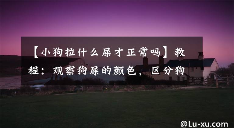 【小狗拉什么屎才正常吗】教程：观察狗屎的颜色，区分狗粮的好坏，区分狗肠胃是否健康文章配图