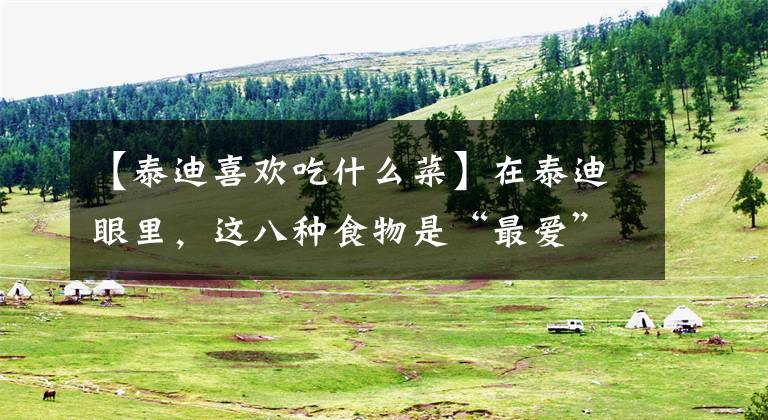 【泰迪喜欢吃什么菜】在泰迪眼里，这八种食物是“最爱”的食物！文章配图
