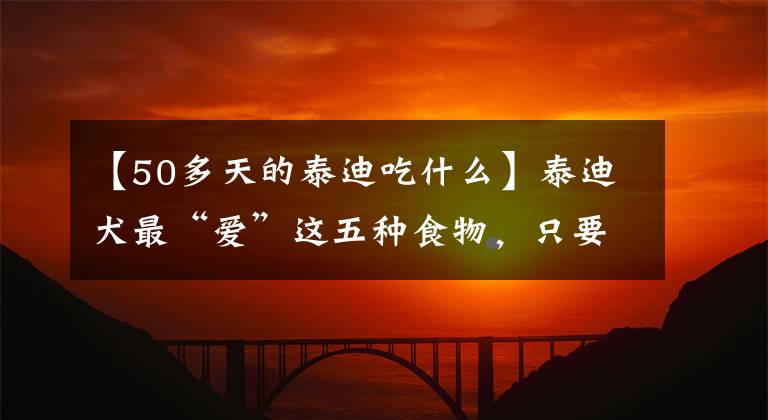 【50多天的泰迪吃什么】泰迪犬最“爱”这五种食物，只要装满一碗就能吃完。文章配图