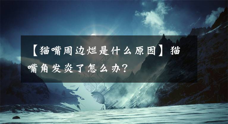【猫嘴周边烂是什么原因】猫嘴角发炎了怎么办？文章配图