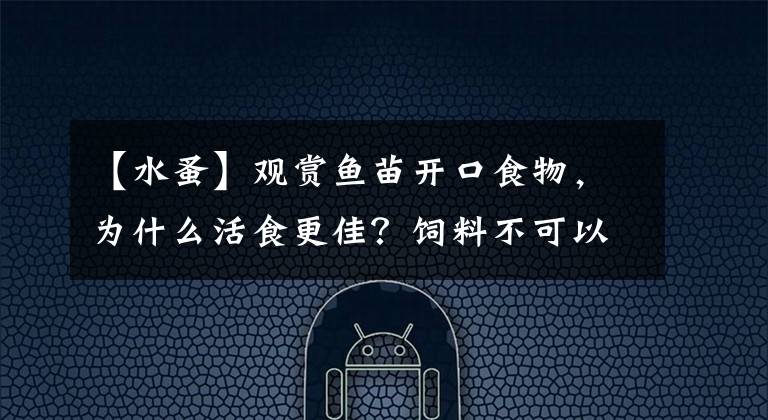 【水蚤】观赏鱼苗开口食物，为什么活食更佳？饲料不可以吗？还真不行