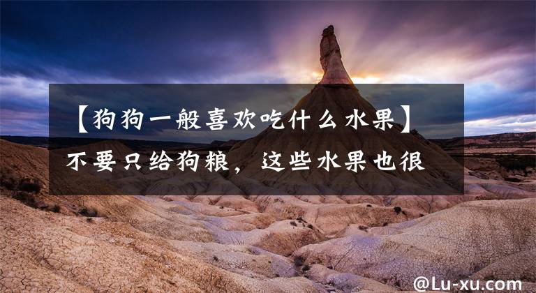 【狗狗一般喜欢吃什么水果】不要只给狗粮，这些水果也很健康文章配图