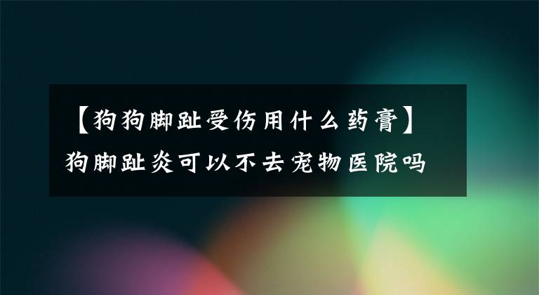 【狗狗脚趾受伤用什么药膏】狗脚趾炎可以不去宠物医院吗？教你一招，不要再乱花钱了！#宠物保密#文章配图