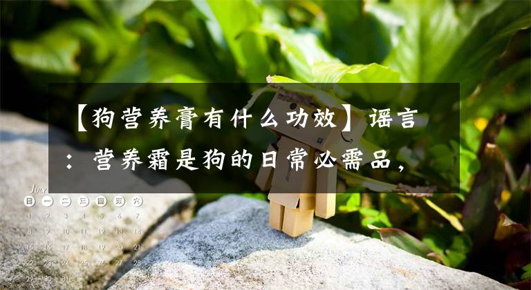 【狗营养膏有什么功效】谣言：营养霜是狗的日常必需品，兽医：没有这种疾病，就不需要吃营养霜。文章配图