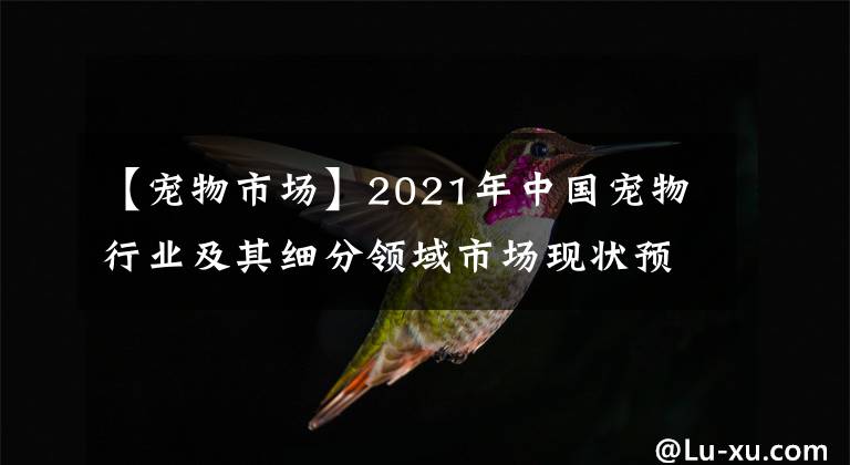 【宠物市场】2021年中国宠物行业及其细分领域市场现状预测分析