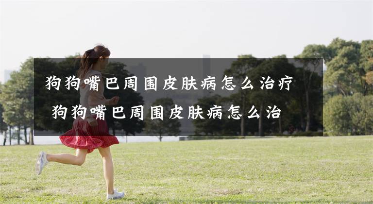 狗狗嘴巴周围皮肤病怎么治疗 狗狗嘴巴周围皮肤病怎么治文章配图