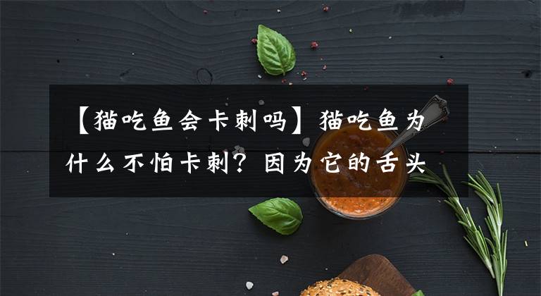 【猫吃鱼会卡刺吗】猫吃鱼为什么不怕卡刺？因为它的舌头堪比“刮骨钢刀”！