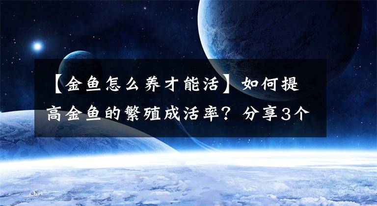 【金鱼怎么养才能活】如何提高金鱼的繁殖成活率？分享3个关键点，助你成功繁殖出小鱼