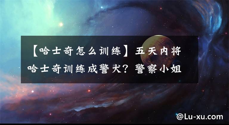 【哈士奇怎么训练】五天内将哈士奇训练成警犬？警察小姐姐：这怎么训啊？