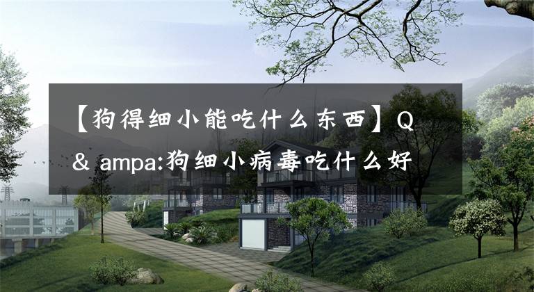 【狗得细小能吃什么东西】Q  & ampa:狗细小病毒吃什么好？