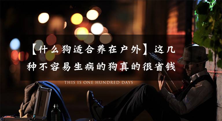【什么狗适合养在户外】这几种不容易生病的狗真的很省钱，很放心文章配图