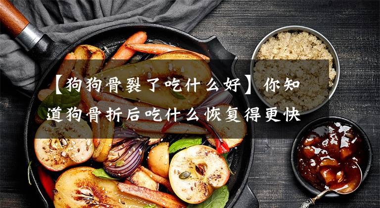【狗狗骨裂了吃什么好】你知道狗骨折后吃什么恢复得更快吗？文章配图