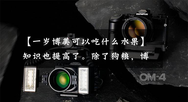 【一岁博美可以吃什么水果】知识也提高了。除了狗粮，博美犬还喜欢吃这7种水果。文章配图