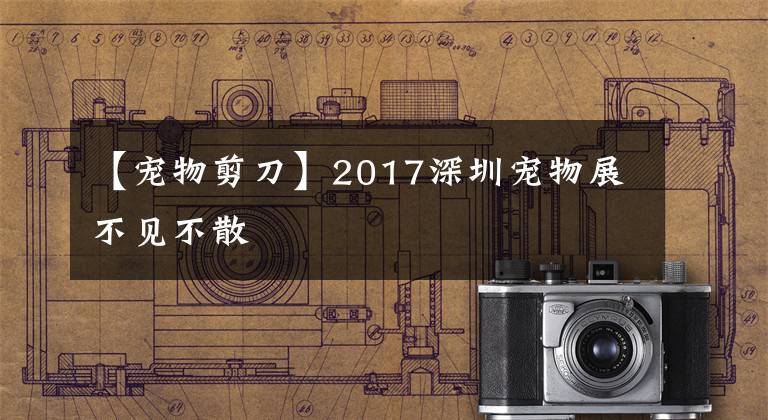 【宠物剪刀】2017深圳宠物展不见不散