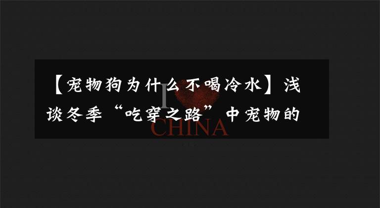 【宠物狗为什么不喝冷水】浅谈冬季“吃穿之路”中宠物的保暖建议。文章配图
