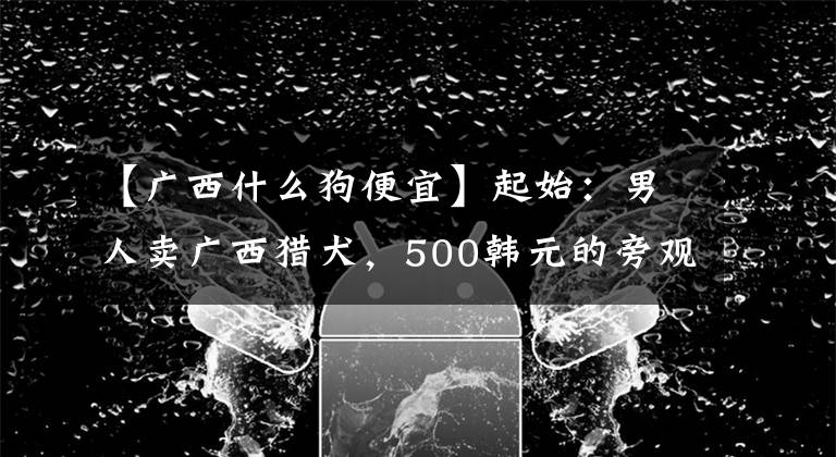 【广西什么狗便宜】起始：男人卖广西猎犬，500韩元的旁观者很多，说很贵？文章配图