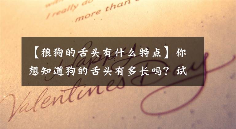 【狼狗的舌头有什么特点】你想知道狗的舌头有多长吗？试试这五种方法，看能不能打破世界纪录文章配图