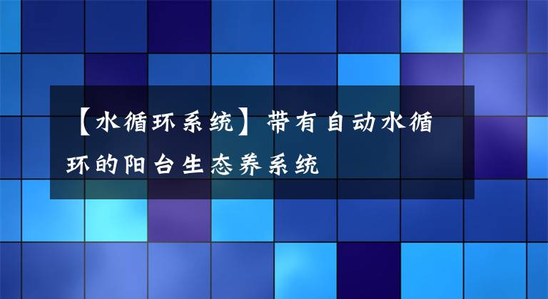 【水循环系统】带有自动水循环的阳台生态养系统