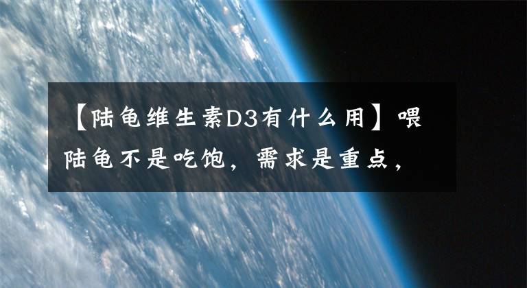 【陆龟维生素D3有什么用】喂陆龟不是吃饱，需求是重点，详细说明陆龟的食物营养需求即可。文章配图