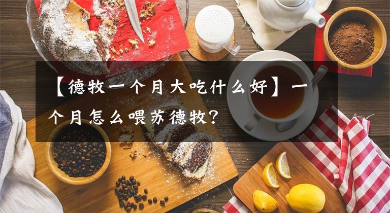 【德牧一个月大吃什么好】一个月怎么喂苏德牧？文章配图