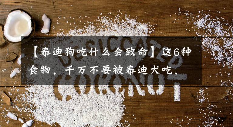 【泰迪狗吃什么会致命】这6种食物，千万不要被泰迪犬吃，毒性很强！文章配图