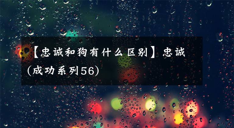 【忠诚和狗有什么区别】忠诚(成功系列56)