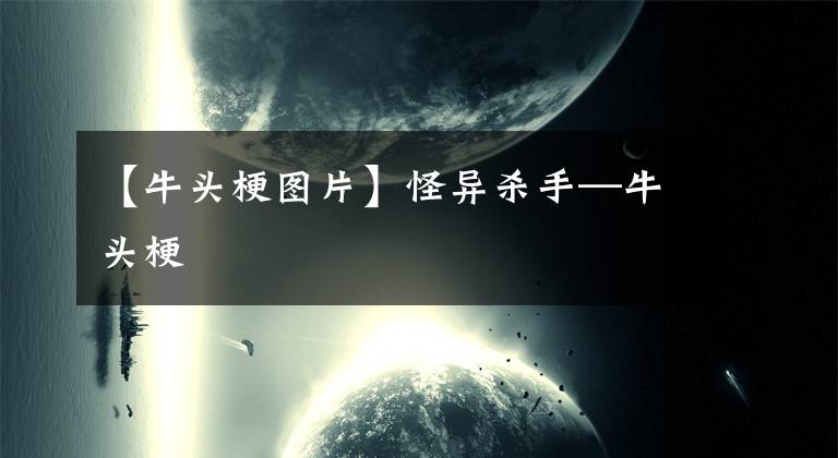 【牛头梗图片】怪异杀手—牛头梗