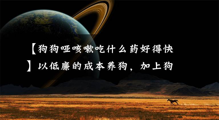 【狗狗哑咳嗽吃什么药好得快】以低廉的成本养狗，加上狗药品。文章配图