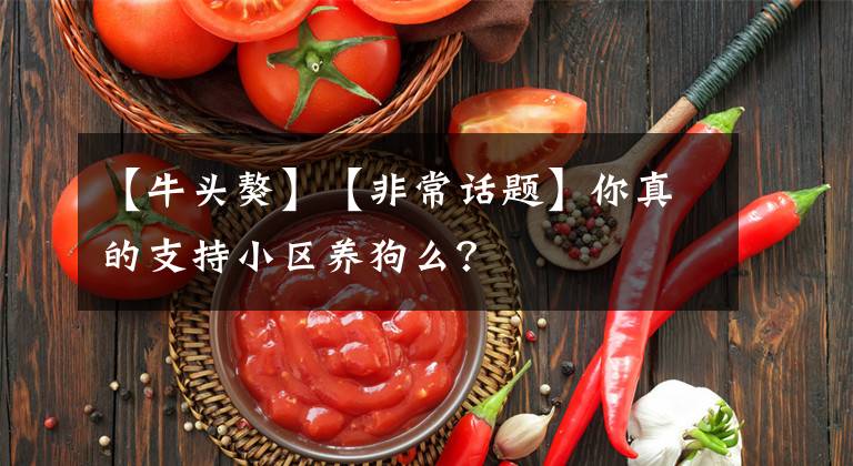 【牛头獒】【非常话题】你真的支持小区养狗么？