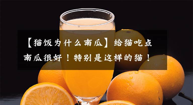 【猫饭为什么南瓜】给猫吃点南瓜很好！特别是这样的猫！网民：突然意识到很大文章配图