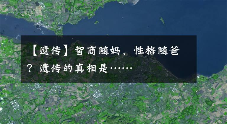 【遗传】智商随妈，性格随爸？遗传的真相是……