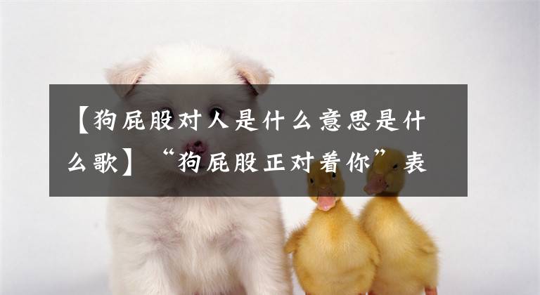【狗屁股对人是什么意思是什么歌】“狗屁股正对着你”表达的6层意思很多宠爱者不理解。文章配图