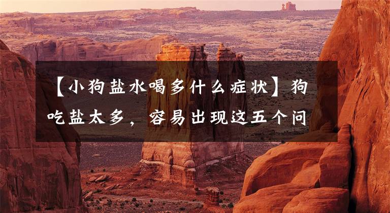 【小狗盐水喝多什么症状】狗吃盐太多，容易出现这五个问题文章配图