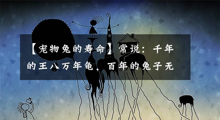 【宠物兔的寿命】常说：千年的王八万年龟，百年的兔子无人追、背后的含义少有人知