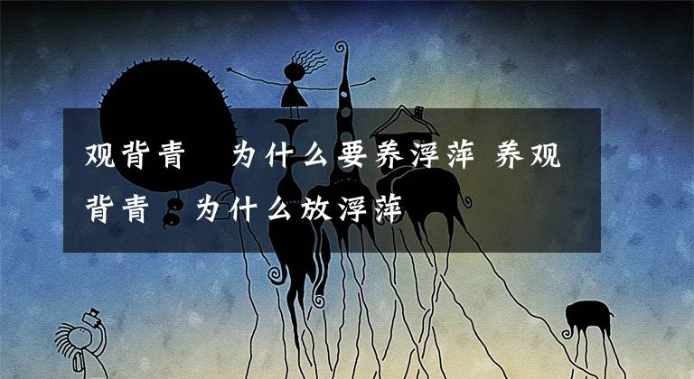 观背青鳉为什么要养浮萍 养观背青鳉为什么放浮萍文章配图