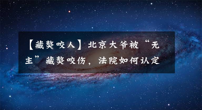 【藏獒咬人】北京大爷被“无主”藏獒咬伤，法院如何认定了3个责任人？