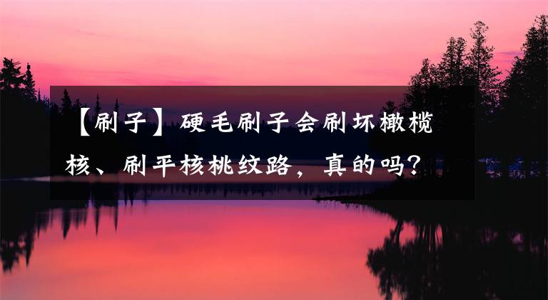 【刷子】硬毛刷子会刷坏橄榄核、刷平核桃纹路，真的吗？