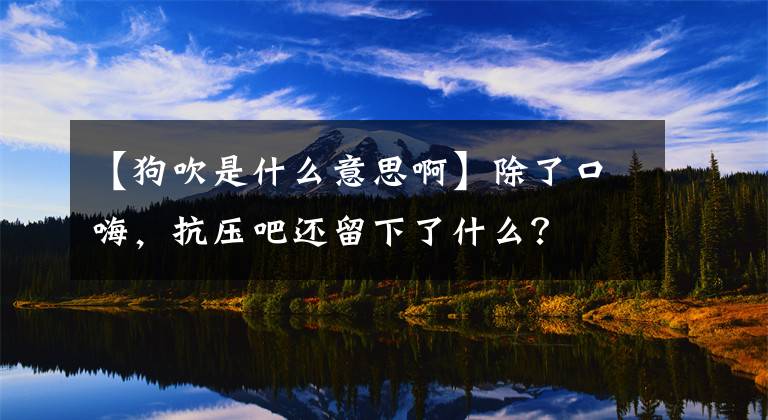 【狗吹是什么意思啊】除了口嗨，抗压吧还留下了什么？文章配图
