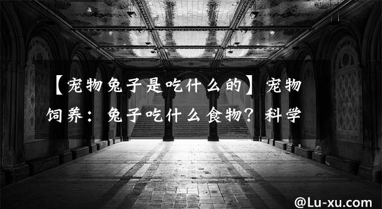 【宠物兔子是吃什么的】宠物饲养：兔子吃什么食物？科学喂养是牧草和兔粮搭配少量水果和蔬菜。文章配图