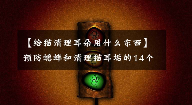 【给猫清理耳朵用什么东西】预防蟋蟀和清理猫耳垢的14个步骤。文章配图