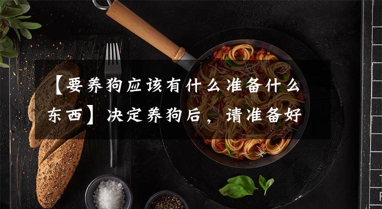 【要养狗应该有什么准备什么东西】决定养狗后，请准备好这9种必需品。你才是合格的主人文章配图